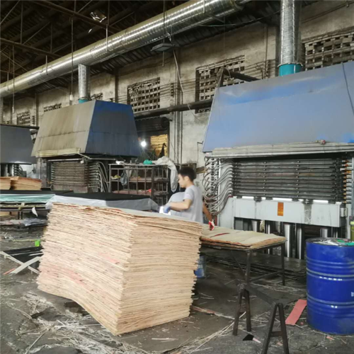 胶合板制造工厂