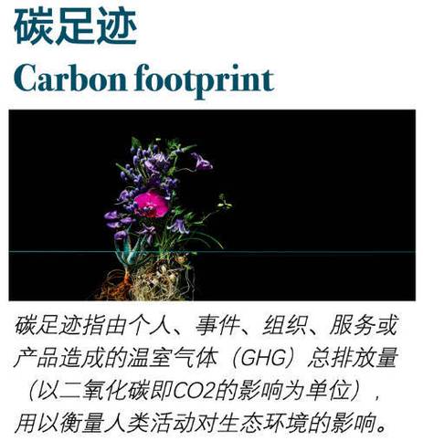 carbon footprint是什么意思