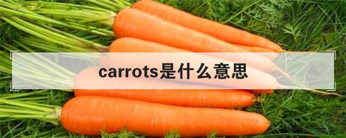 carrot是什么意思中文翻译