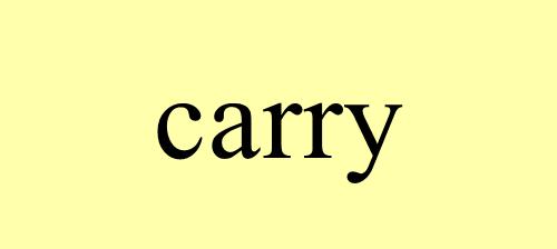 carry怎么读发音