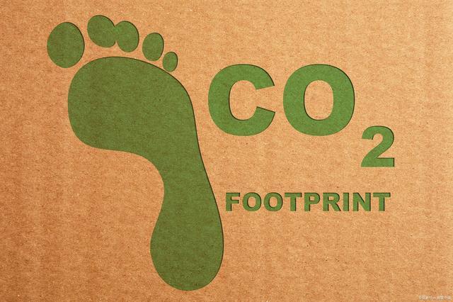 footprint是什么意思中文